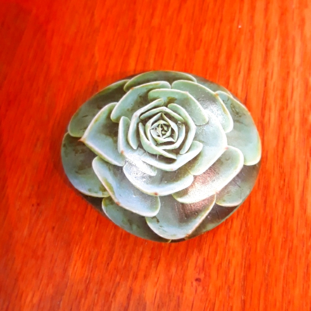 Succulent Art Rocks New - Picture 6 of 9